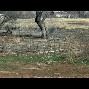 Meet your Posher, Federico